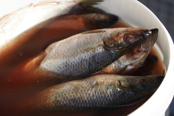 Fresh fish on an open market stall on sale.