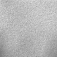 Monochrome texture background. Image includes the effect the black and white tones. Surface looks rough. Gray printing element. Backdrop texture wall and have copy space for text.