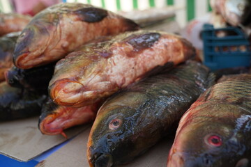 Fresh fish on an open market stall on sale.