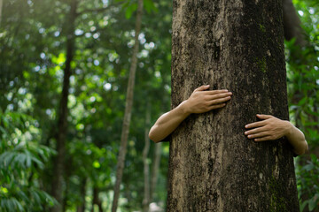 Human hand give hug to tree in forest.Concept of global problem of carbon dioxide and global...