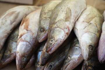 Obraz premium Fresh fish on an open market stall on sale.