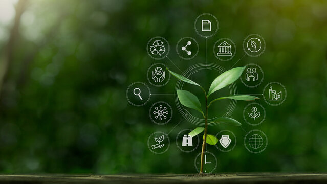 ESG icon concept with small tree for environmental, social, and governance in sustainable and ethical business on the Network connection on a green background.