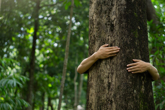 Human hand give hug to tree in forest.Concept of global problem of carbon dioxide and global warming.environment eco concept.