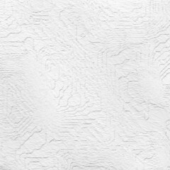 Monochrome texture background. Image includes the effect the black and white tones. Surface looks rough. Gray printing element. Backdrop texture wall and have copy space for text.