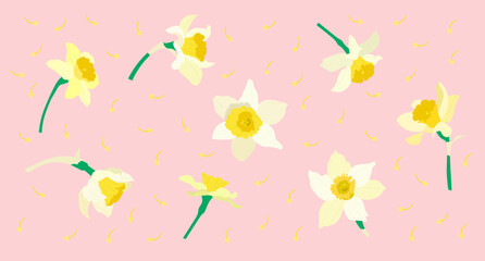 Set and composition of daffodils. Floral background.