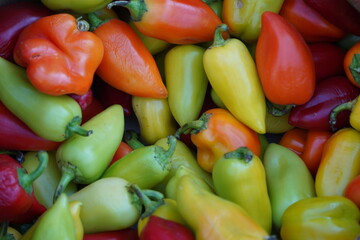 Colorful peppers are laid out in a container on the market
