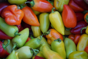 Colorful peppers are laid out in a container on the market