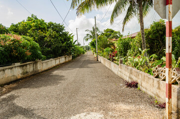Straight Asphalt Roadway