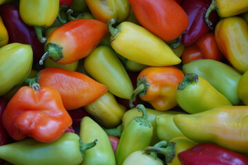 Colorful peppers are laid out in a container on the market