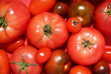 Different fresh tomatoes as background, closeup