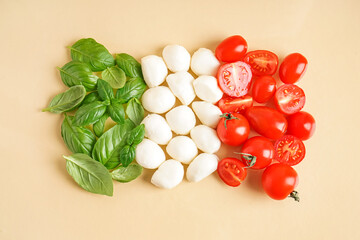 Composition with delicious mozzarella cheese, basil and tomatoes on color background