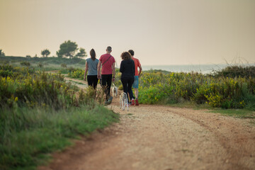 Fototapeta premium Group of walkers or hikers on a gravel path at a seaside, taking a walk in the evening. Group of people on an evening stroll