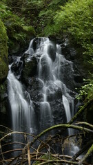 Fototapeta premium waterfall in the forest