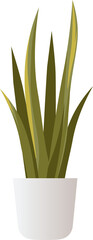 aloe vera plant in pot illustration