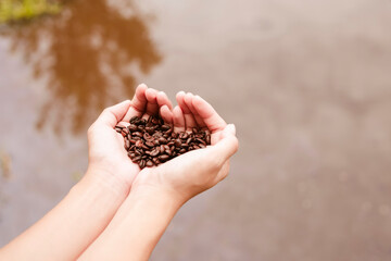 Weergave van Aziatische vrouwelijke handen met gebrande koffiebonen die uit holle handen in een bos van andere koffiezaden stromen. Korrels van verse koffie roosteren in handen met onscherpe achtergrond.