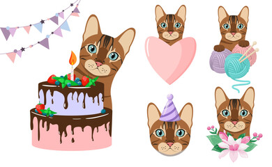 A set of funny Bengal cats on a white background. Pets. Cartoon design.
