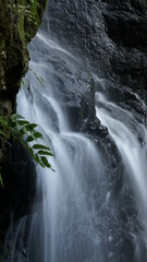 waterfall in the forest