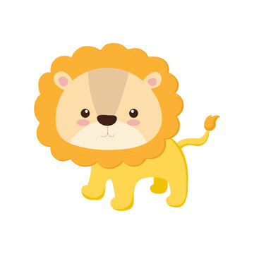 Cute cartoon lion illustration vector