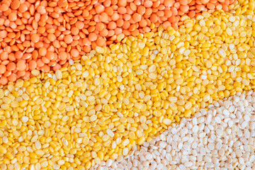 Group of lentils, red lentil (masur), vigna mungo (urad dal), yellow lentils (harhar dal) cereal grains background