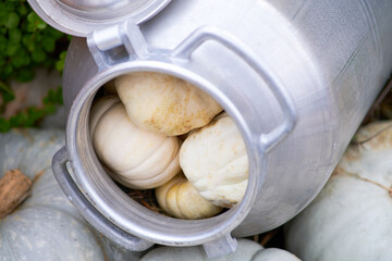 Harvest festival with autumn pumpkins and vegetables. Sale of agricultural crops on the outdoor market after the holiday