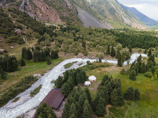 Mountain river and forest in summer Kyrgyzstan