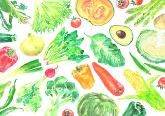 水彩で描いた色々な新鮮な野菜の背景イラスト