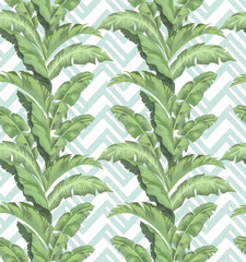 Green tropical palm leaves seamless vector pattern on the black background.Trendy summer print