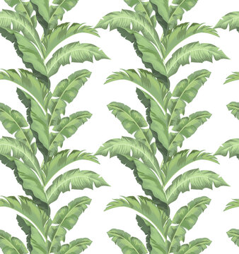Green tropical palm leaves seamless vector pattern on the black background.Trendy summer print