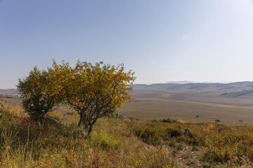 autumn grassland beautiful scenery in Inner Mongolia China