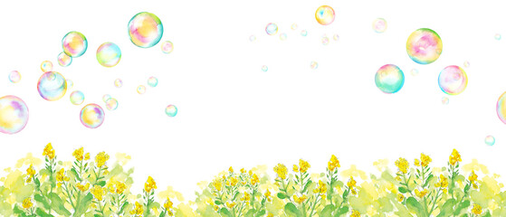 菜の花畑とシャボン玉のアーチの背景。水彩イラスト。（透過背景）