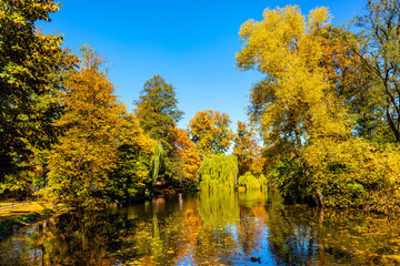 City park and lake with colorful fall trees leaf mosaic in historic old town quarter of Andrychow with Beskidy Mountains in background in Lesser Poland