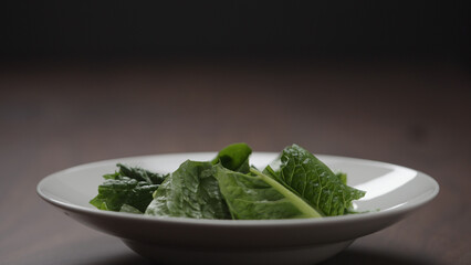 making salad put romaine leaves in white bowl