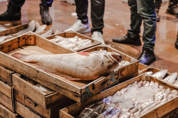 The fish in the market lies in the tray. Fish market.