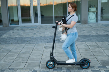 A woman rides an electric scooter with a dog in a backpack. Pappilion Spaniel Continental in a sling.