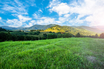 Naklejka premium view of a field covered with grass near the mountains and a blue sky
