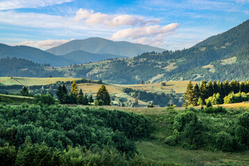 concept - ecology nature. hills covered with forest in the morning summer sun in a mountain massif.