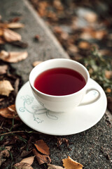 A cup of tea in a white cup on the banks of the river in the autumn afternoon