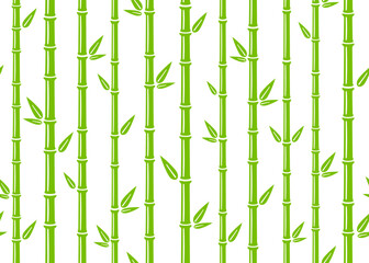 Bamboo seamless pattern. Simple flat green bamboo background with stalk, branch and leaves. Nature backdrop design. Abstract asian texture. Vector illustration on white background.