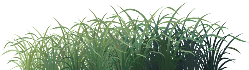 green grass transparent background with gradient