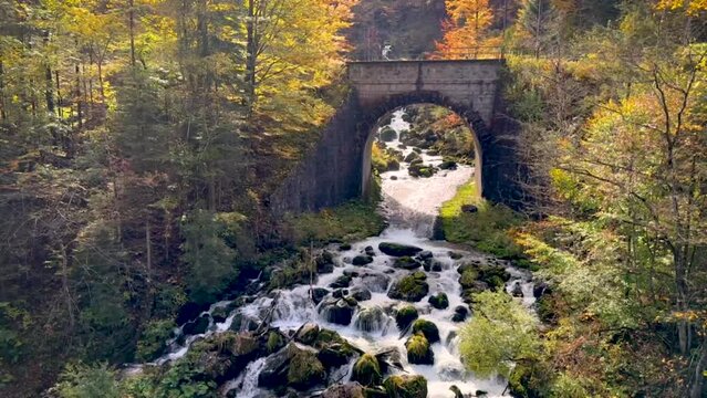 Indian summer in austria  - a little river running down a hill surounding many mossy rocks, passing a litle bride