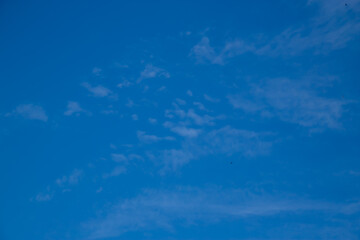 Fototapeta na wymiar Blue sky with a few clouds background.