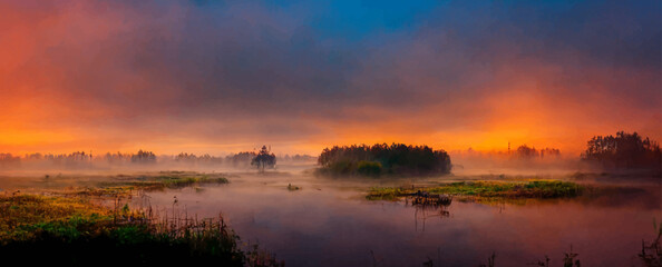 beautiful colorful landscape of a misty swamp - obrazy, fototapety, plakaty