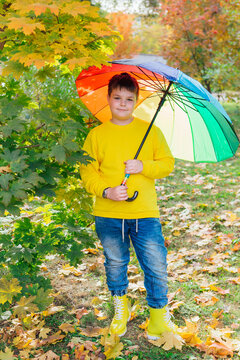 Cute boy under a colorful umbrella in autumn park.