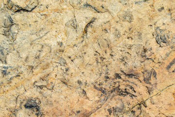 surface of the marble with brown tint