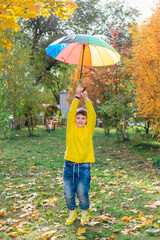 Cute boy under a colorful umbrella in autumn park.