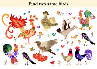 Find two same birds. Colorful vector illustration for children education. Puzzle for kids.