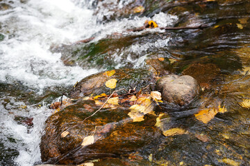 Spring Water Flowing in the Mountain Areas of Northern China in Autumn