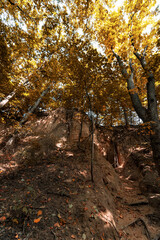 Wąwóz królowej Jadwigi