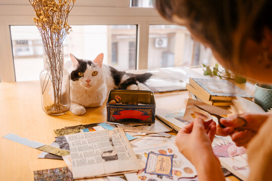 Freelancer cutting paper clipping by cat on desk at home