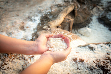 Fototapeta na wymiar raw salt in the hands of villagers